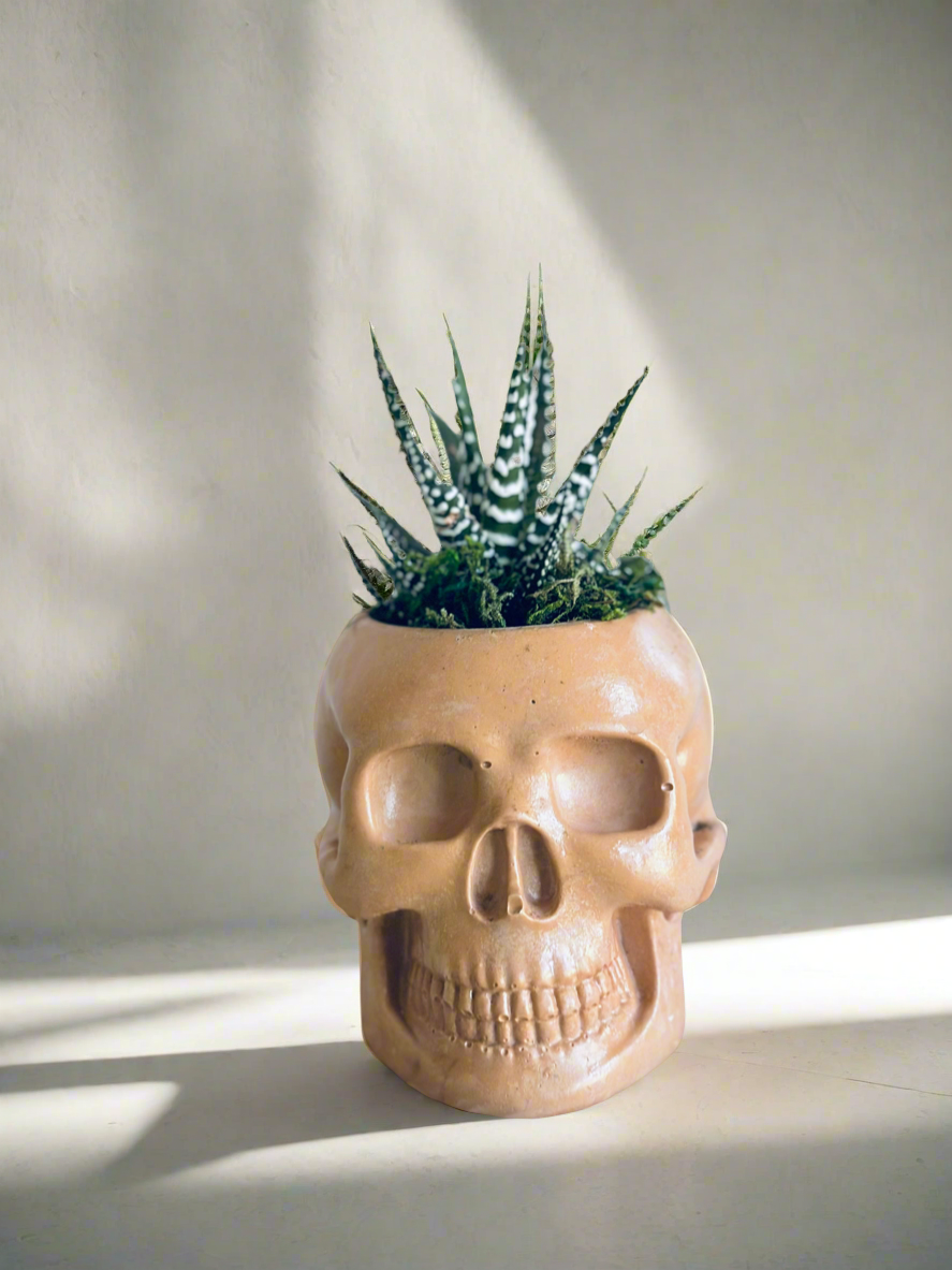 La Calavera (Planter only)