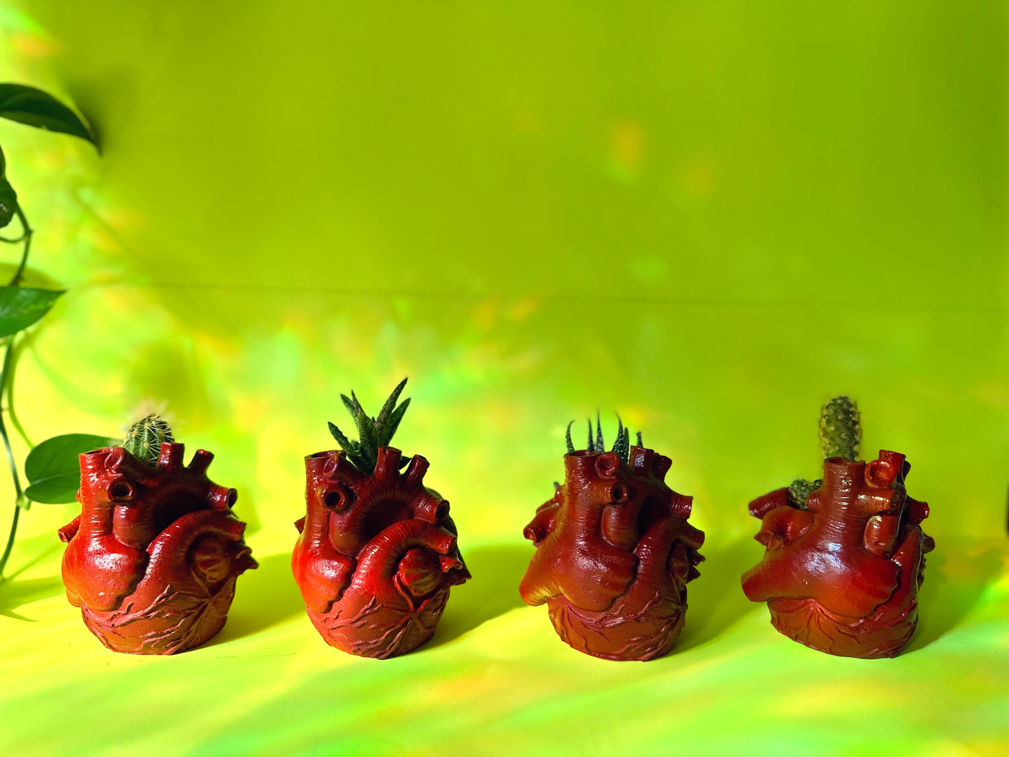 El Corazon
