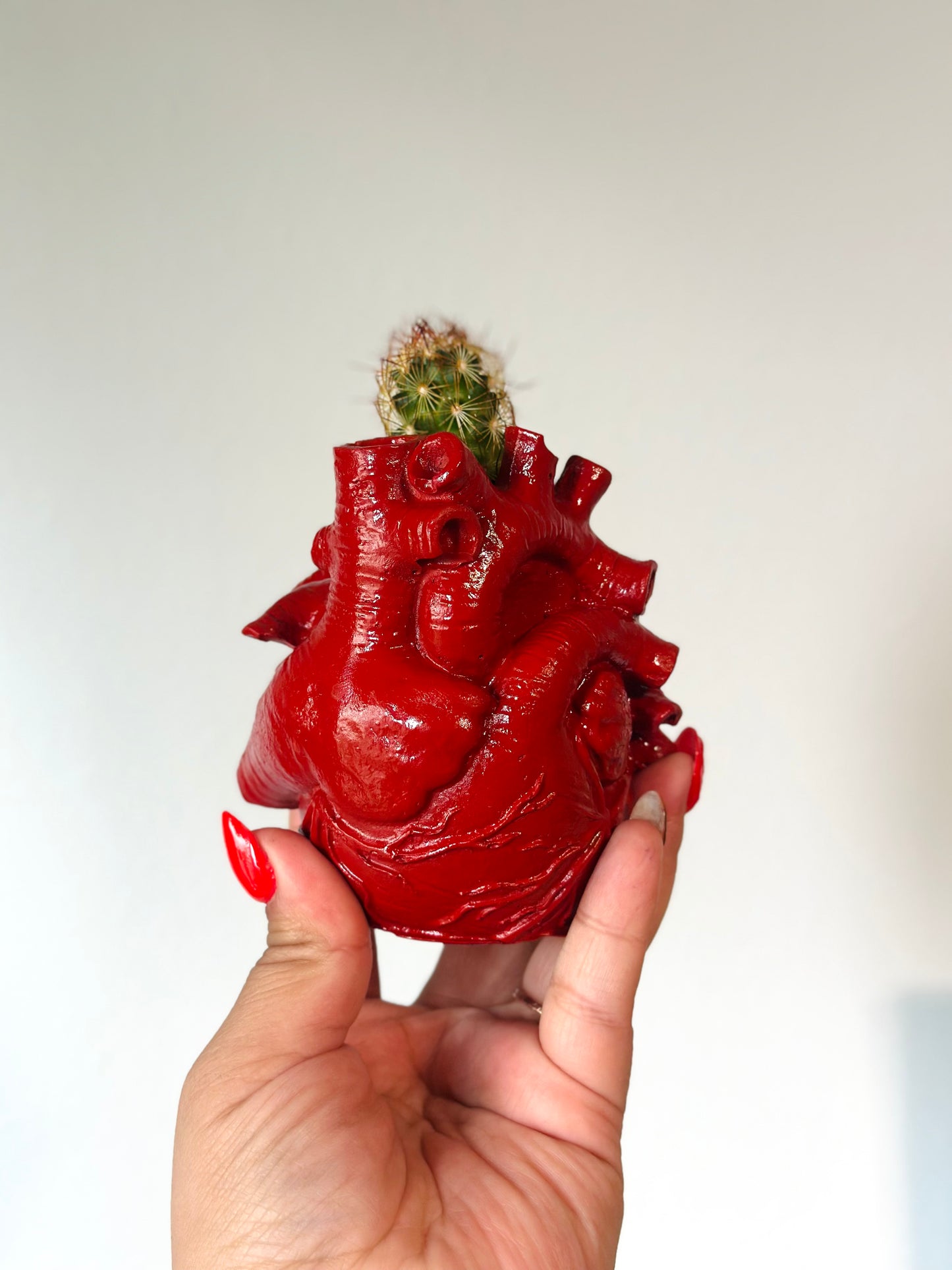El Corazon