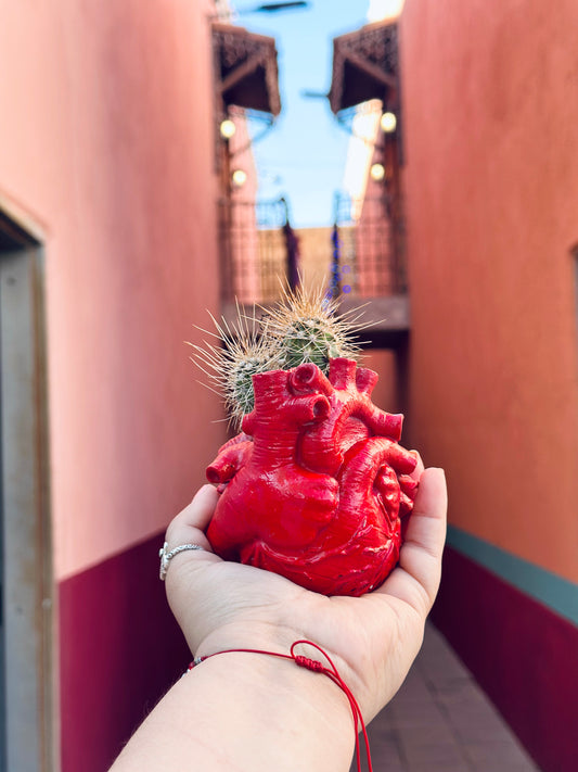 El Corazon