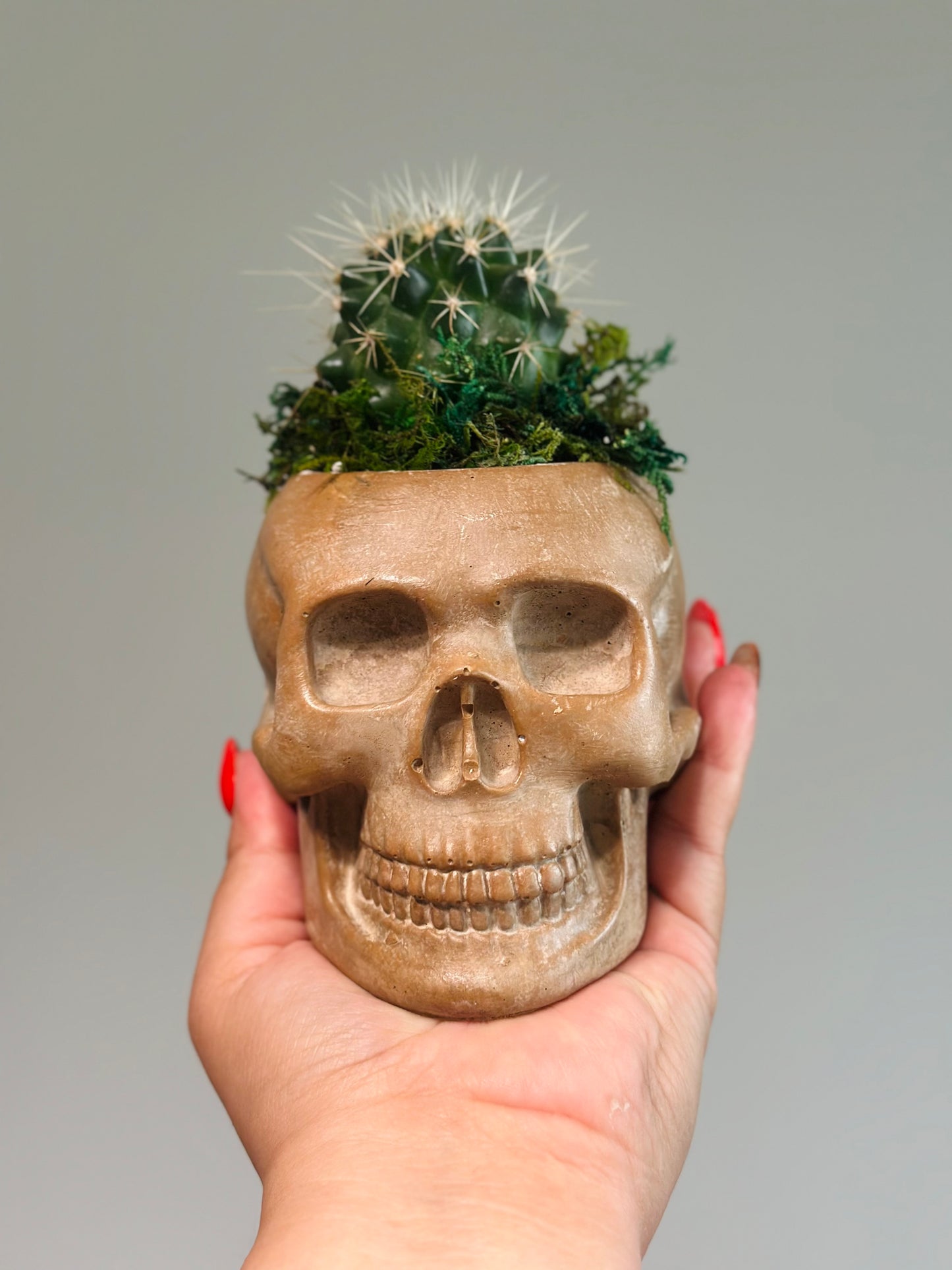 La Calavera