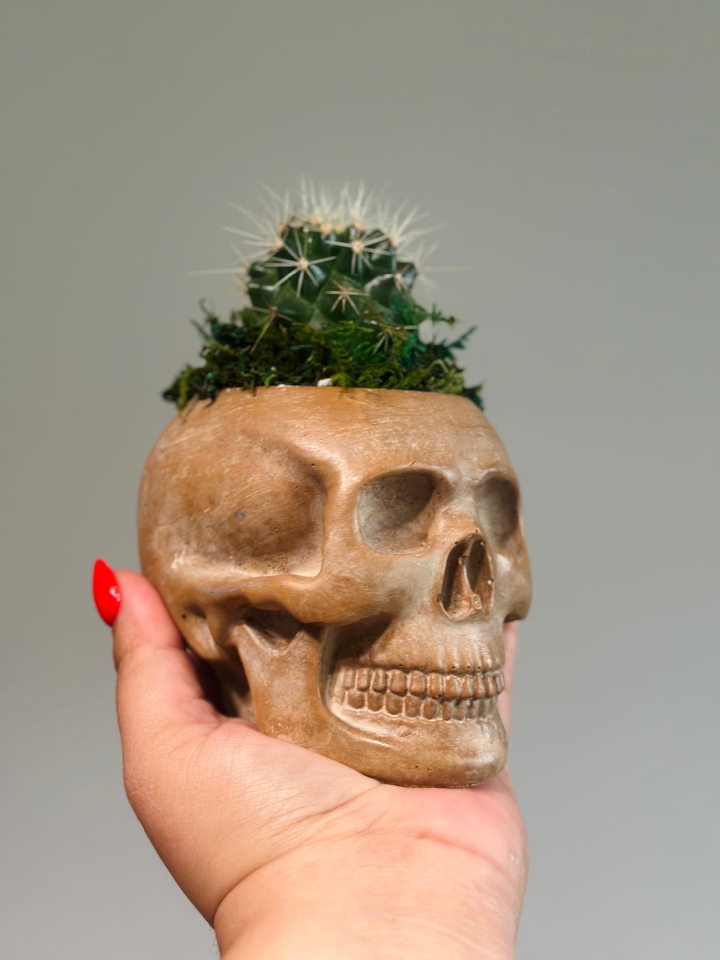 La Calavera