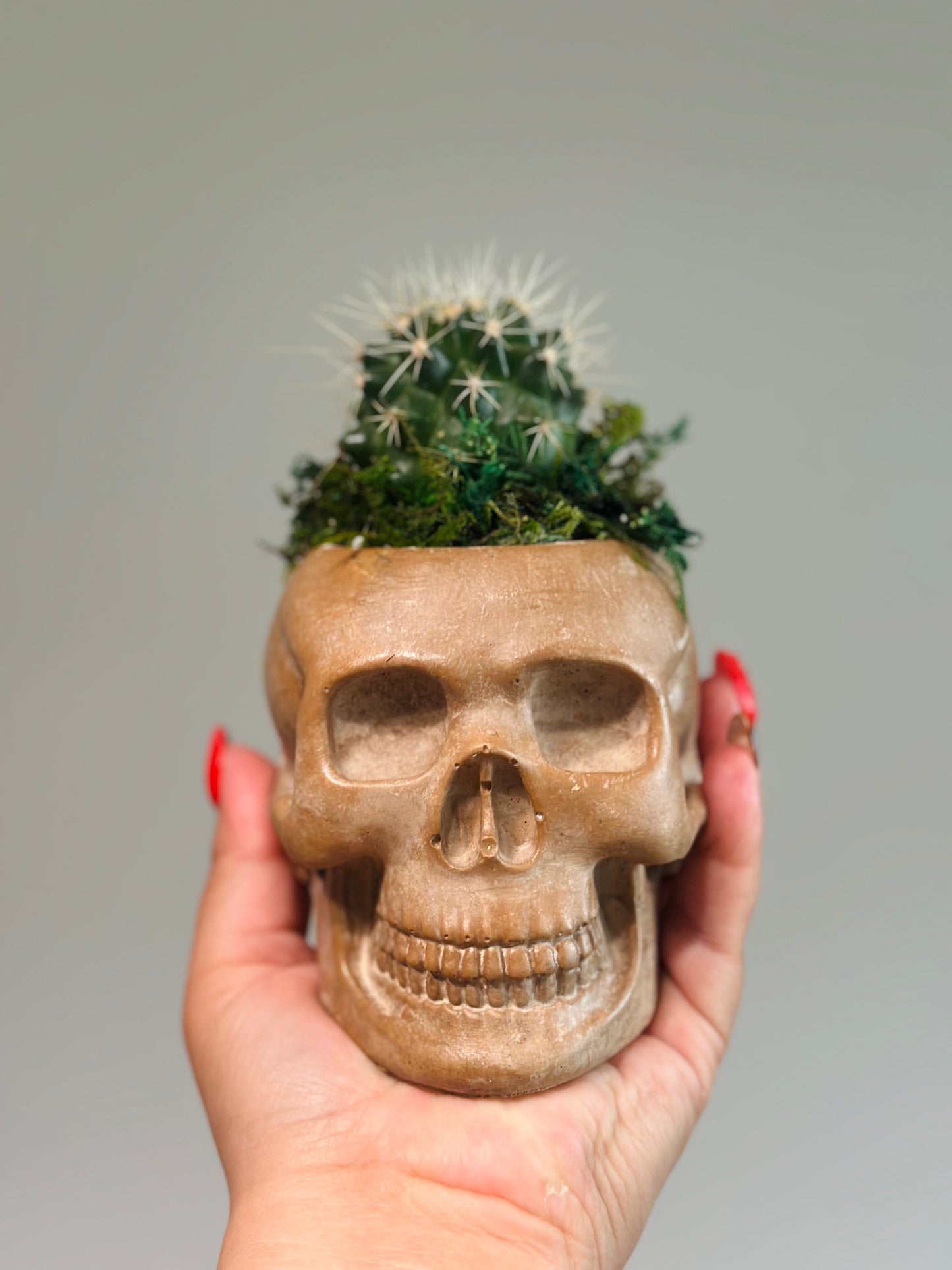 La Calavera